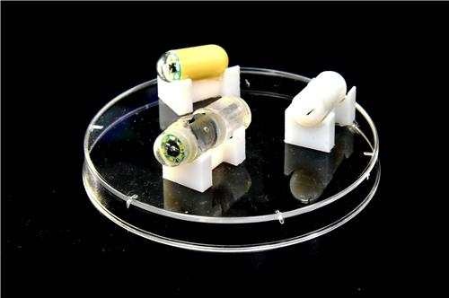 3세대 캡슐내시경: 한국마이크로의료로봇연구원 제공