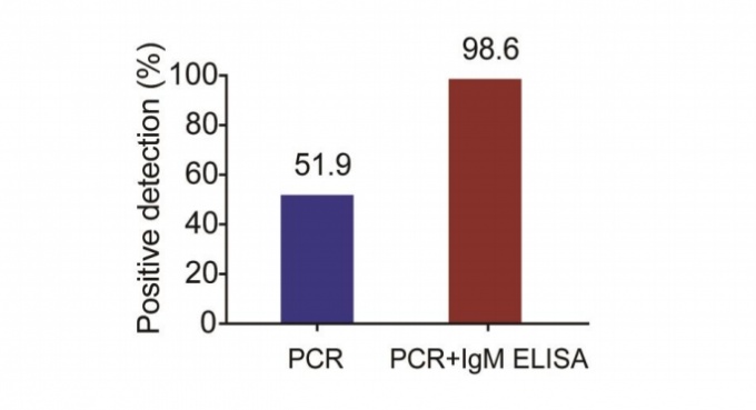 PCR검사를 IgM항체 검사로 보완할 경우 양성 판별률이 47%가량 올랐다