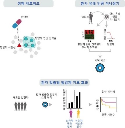 환자 맞춤형 약물 반응성 예측 기술의 도식, 한국연구재단 출처.