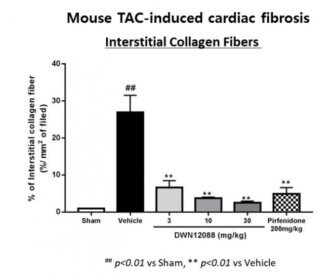 ‘2017년 미국심장학회(AHA)’에서 발표된 심장섬유증 생쥐모델에서의 전임상 결과로, DWN12088 소량으로도 경쟁 물질 대비 우수한 콜라겐 억제 효과를 확인했다.